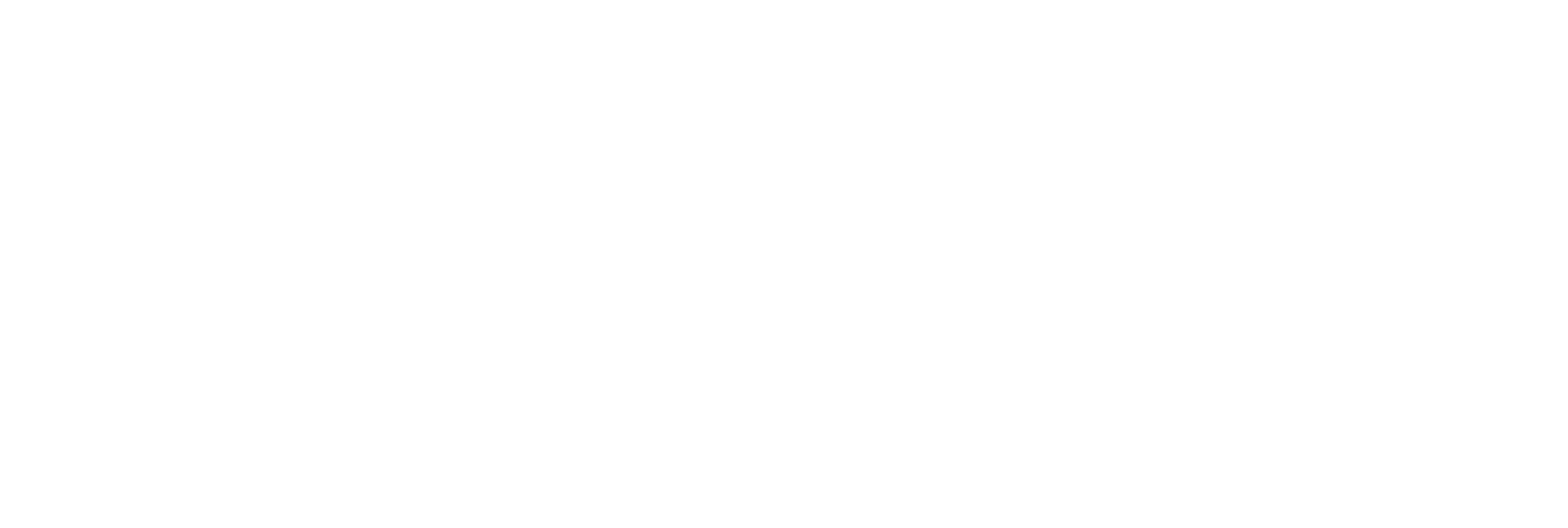 Logo StoneLife Capital